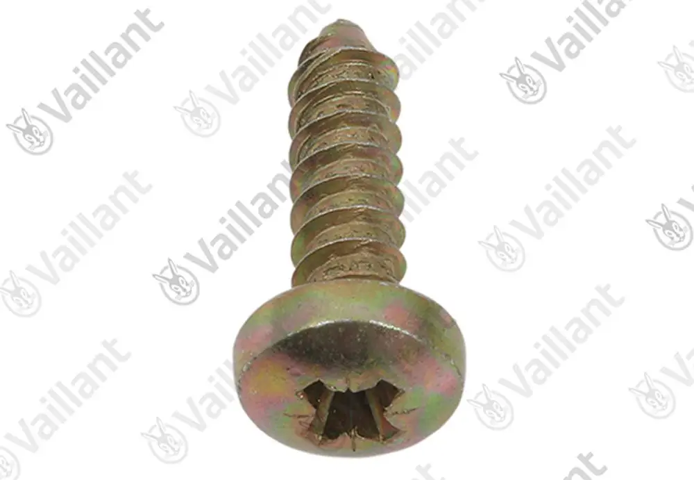 Vaillant Blechschraube mit Kammkopfform und spiralförmigem Gewinde. Zusammensetzung für Befestigungs- und Montagetechnik.